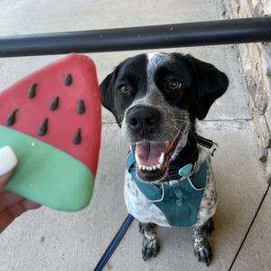 Fundraising Page: Kenzie Evans